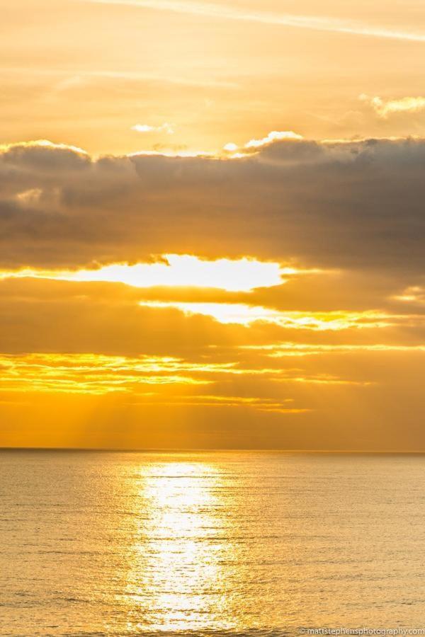 Seafront Apartment With Garden Brighton Dış mekan fotoğraf